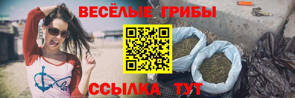 Галлюциногенные грибы мицелий  Вход с VPN  дарнет шоп  Железногорск  Псилоцибиновые грибы ЛСД 