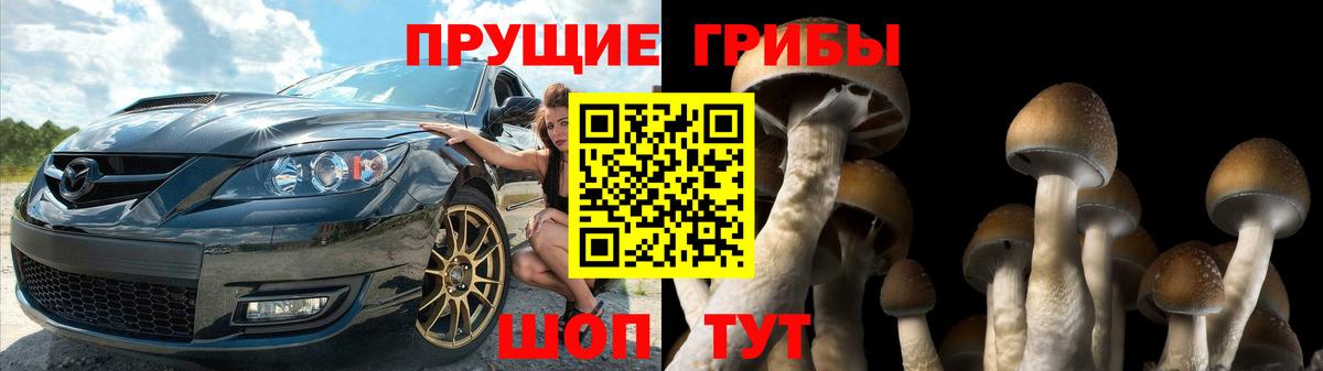 Галлюциногенные грибы Cubensis Железногорск